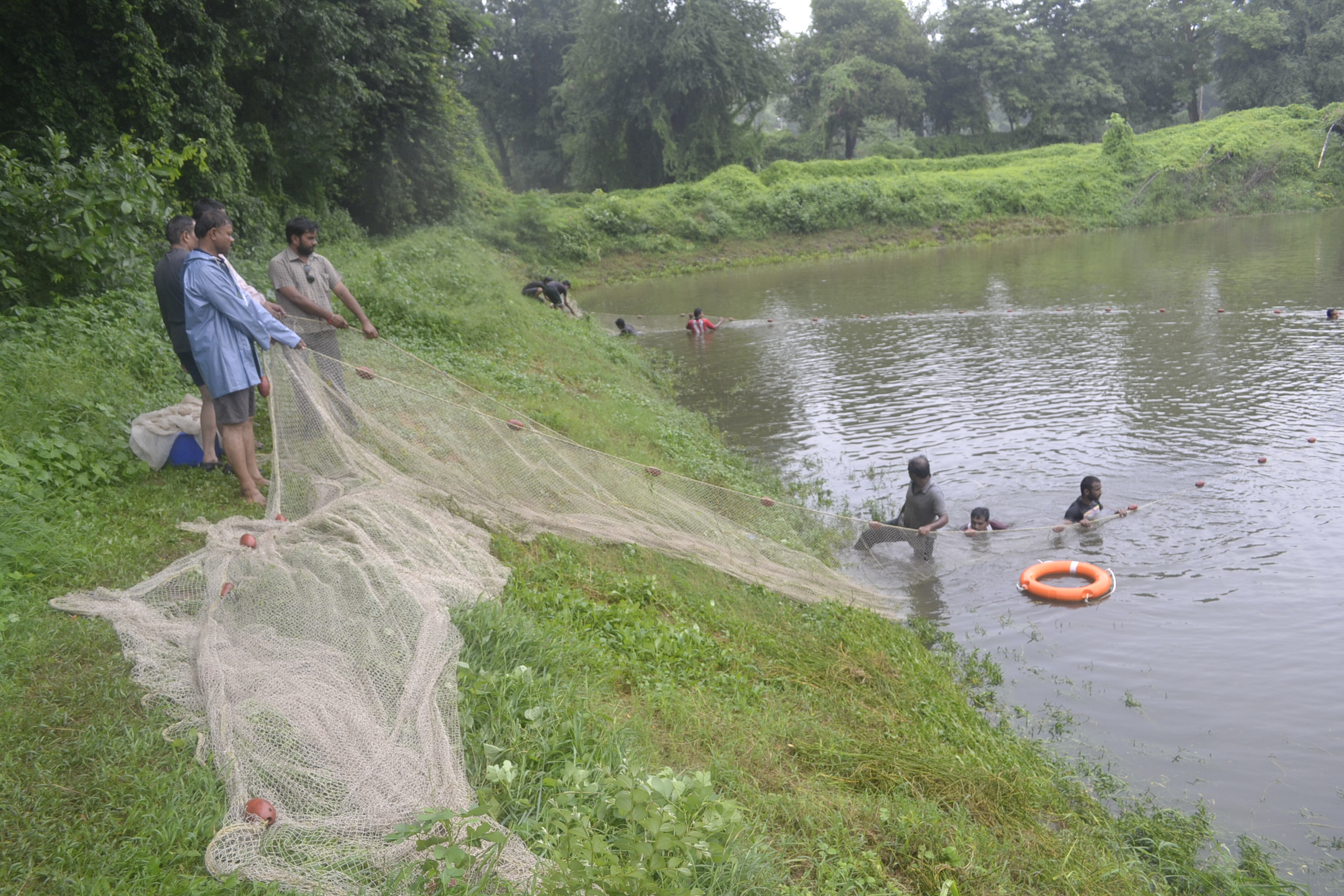 Fish Harvesting Operation